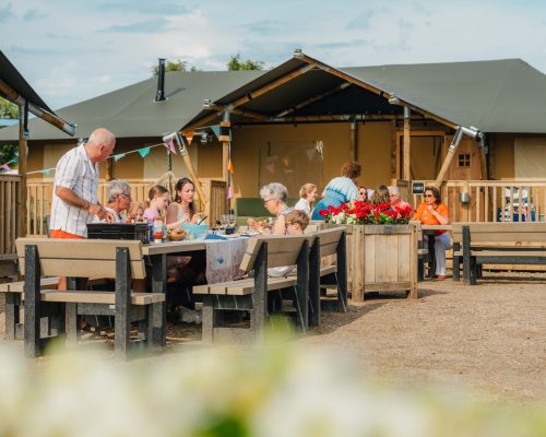 Safaritent-10-personen-Julianahoeve-huren-Renesse-5